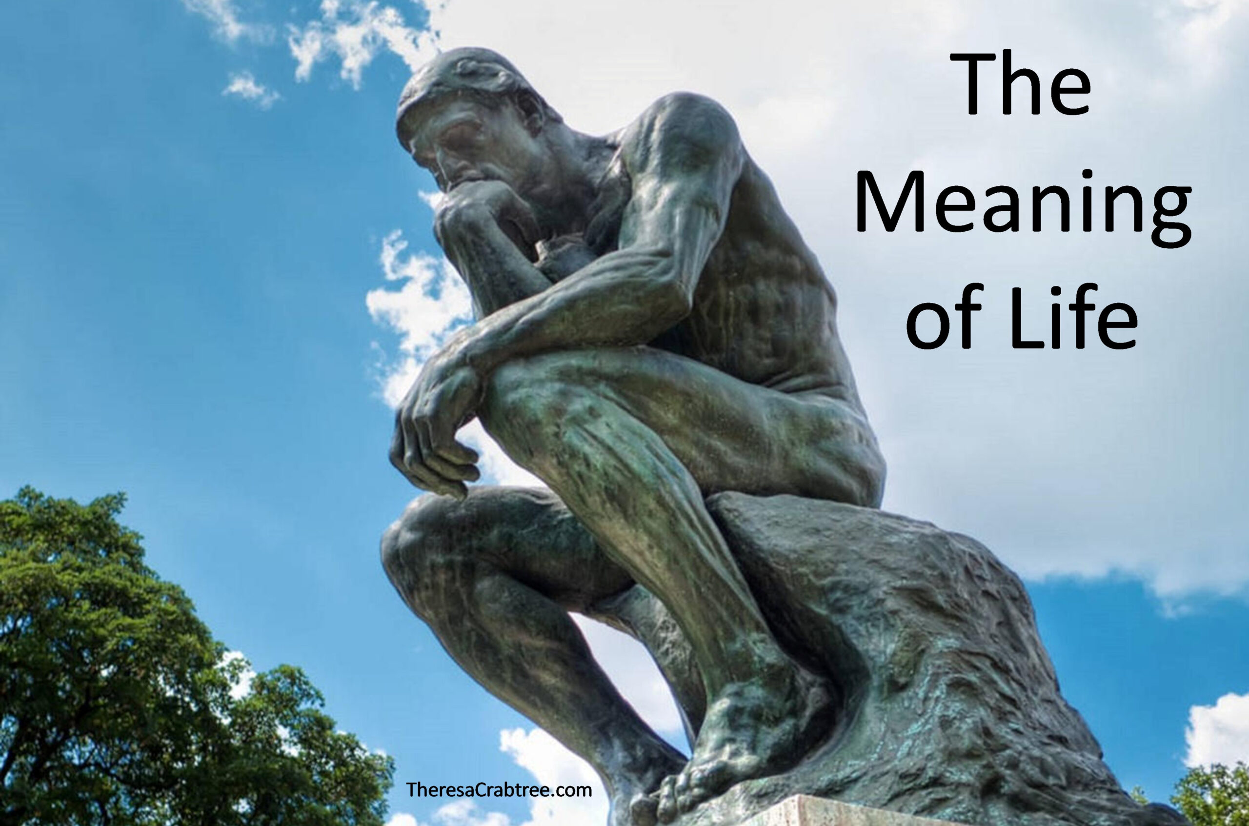 Read more about the article The Meaning of Life