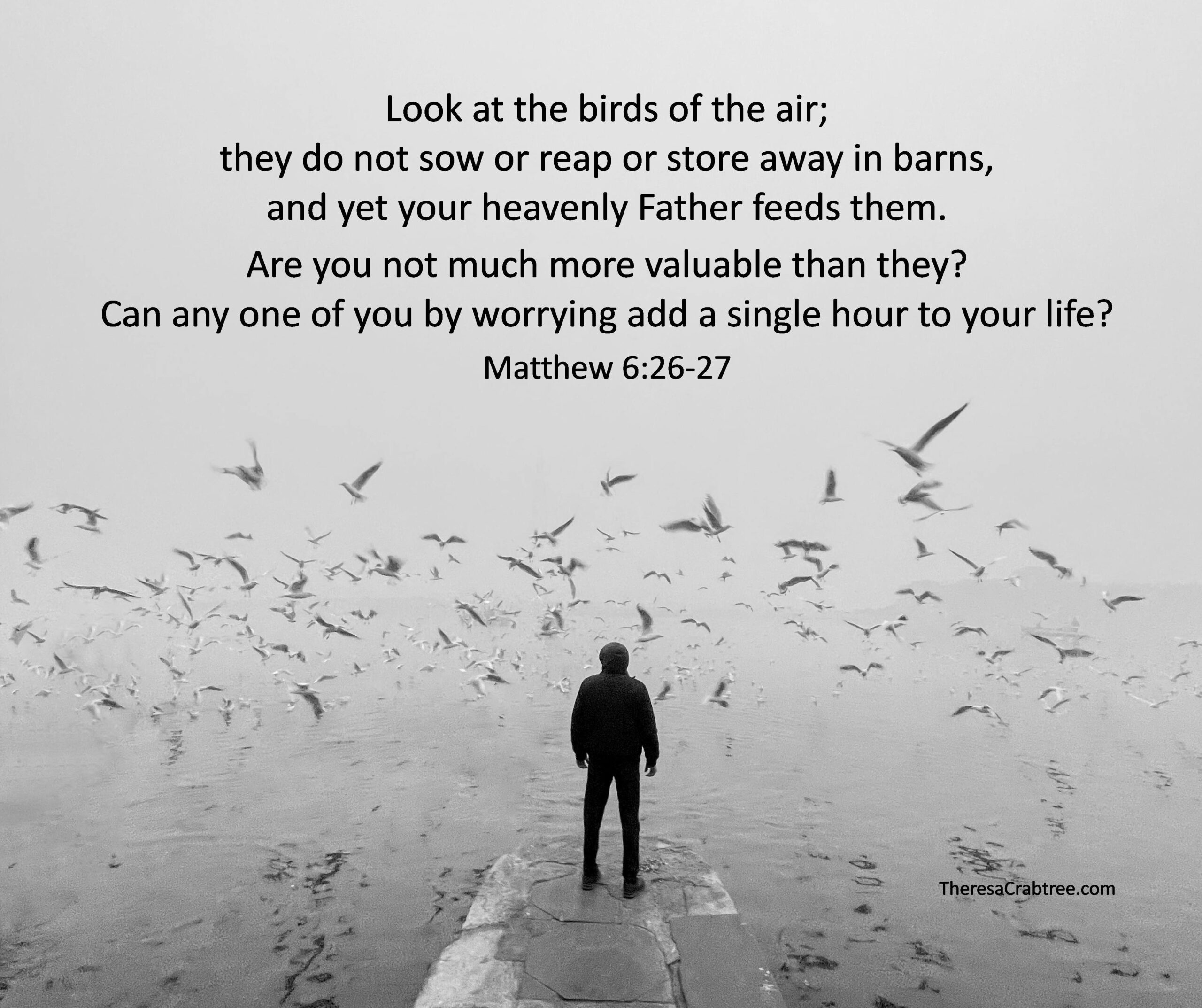 Read more about the article A thought to consider when worry sets in