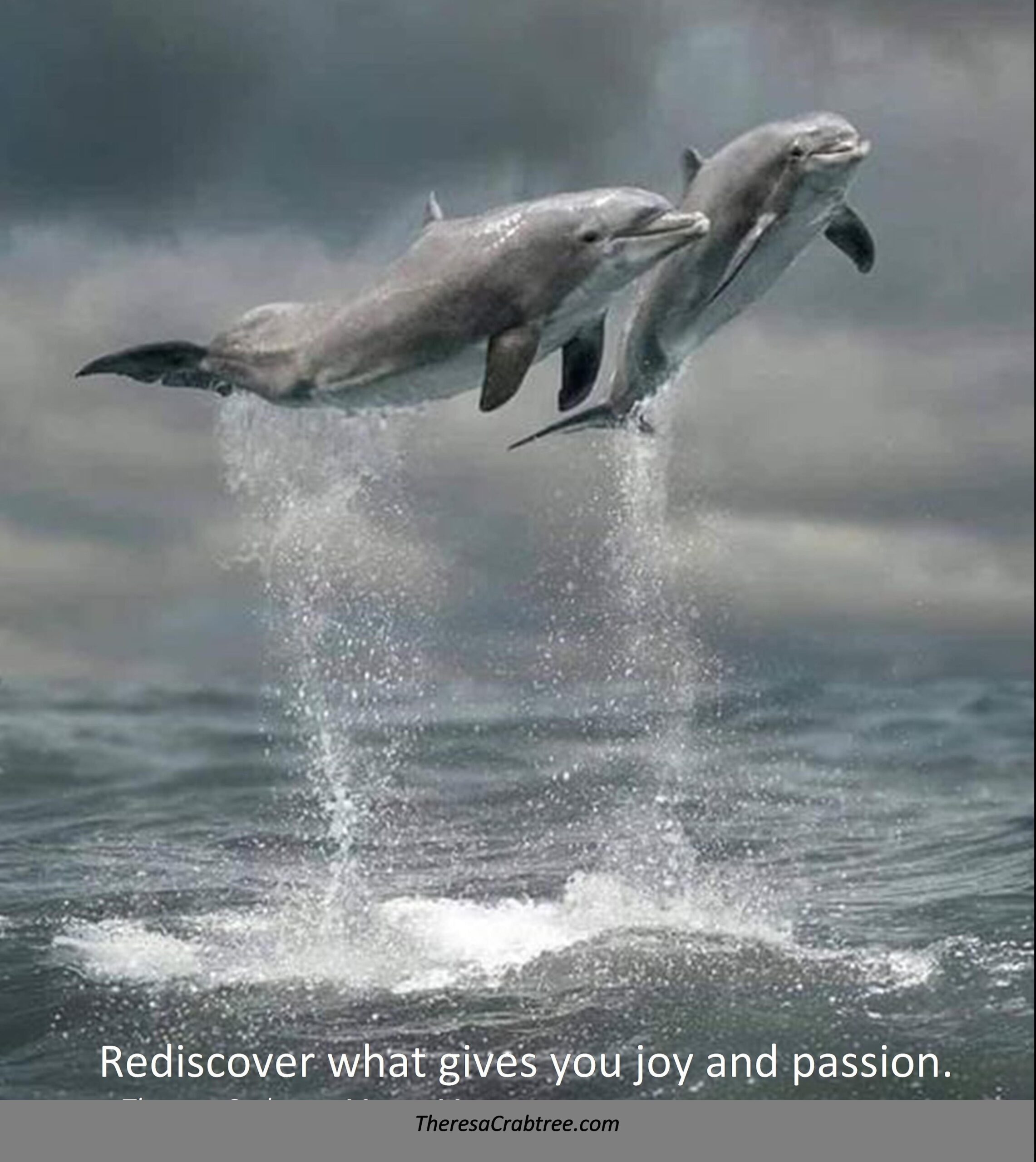Read more about the article Rediscover Joy and Passion