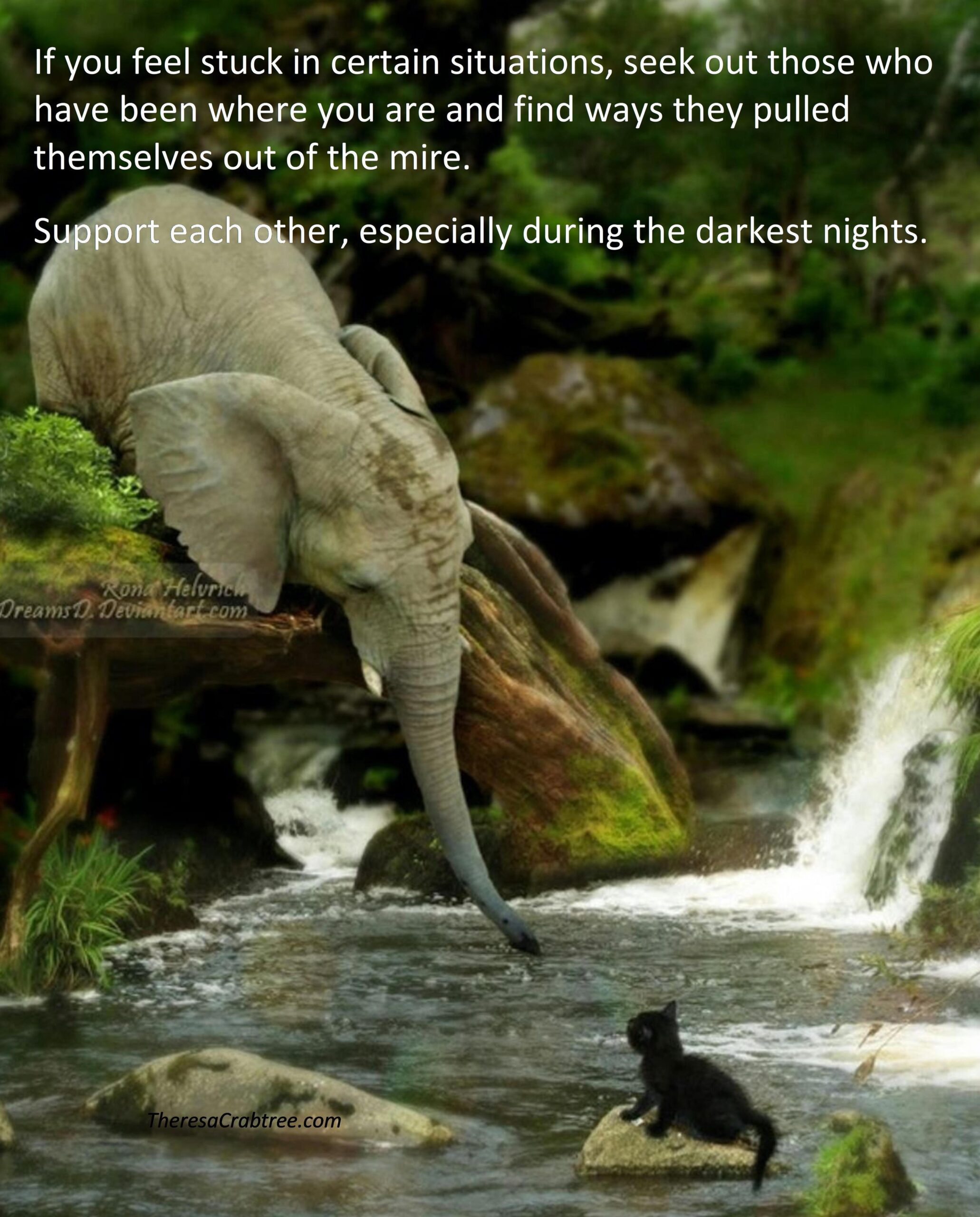Read more about the article Support Each Other
